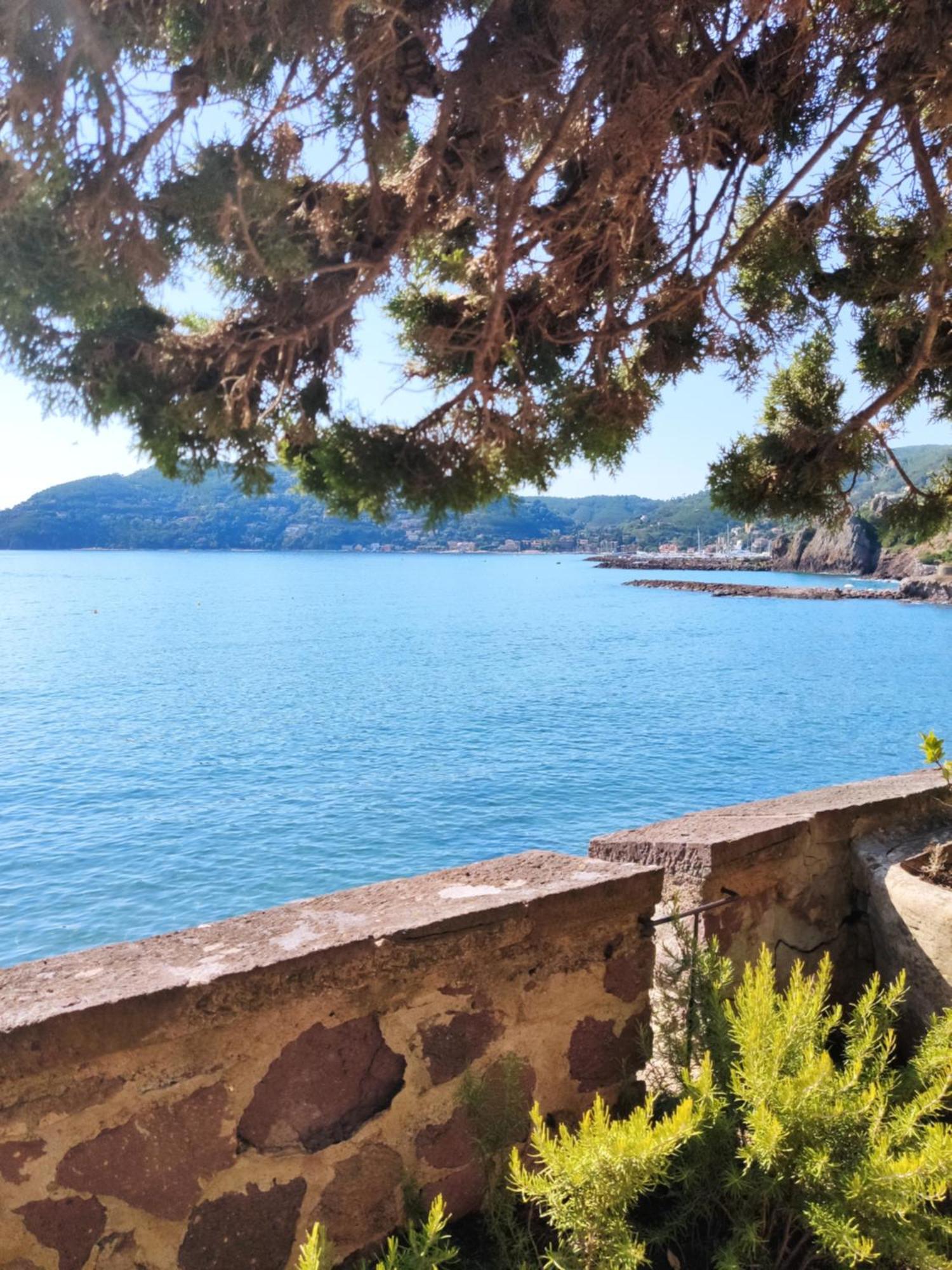 Cannes - 2 Pieces Refait A Neuf Palais Des Festivals - Croisette Экстерьер фото